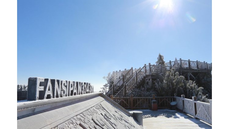 Kinh Nghiệm Đi Du Lịch Sapa Mùa Đông - Tận Hưởng Trọn Vẹn Vẻ Đẹp Nơi Vùng Cao Tây Bắc